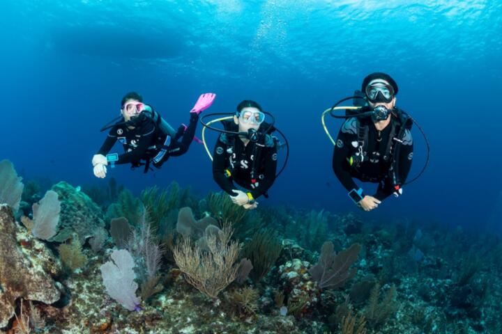 Exploring Deep Waters: The World’s Most Iconic Dive Sites
