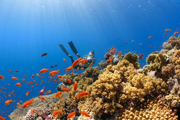 Why Reef-Safe Sunscreen Matters at the Beach